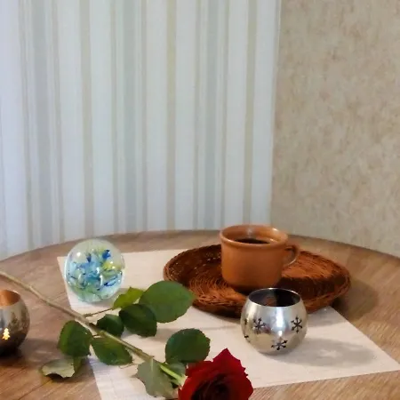 Vip 公寓 利沃夫